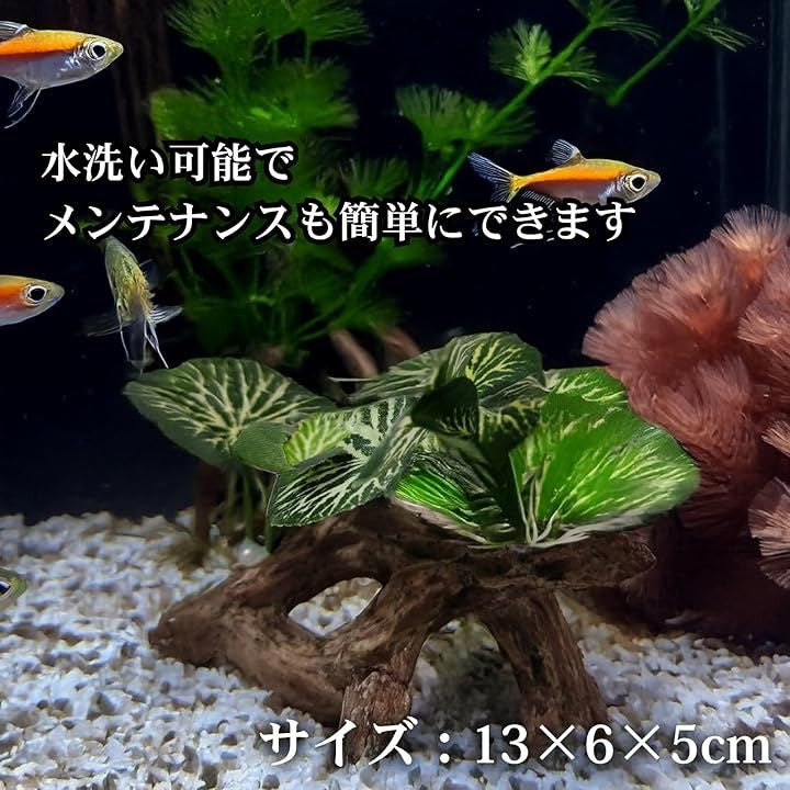 0000c01008002400001c0001d007012e1eaf0395008ef4307980f76efd87fecfde44a654ae5100f8ab32483b329b130b