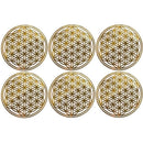 fffff7f5c69897e586329961e5f7d7f7ffffdfbdb5dcc7f18777c161f436e7f3