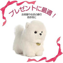 ffffca7fffdfb5f7bd7fffffbe1ffa0ff00ff00ff00ff01ff01ef01efe1dff130000000000000000002b170000201700