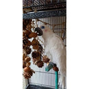 440000000480c0000e60007080f895fe01ff8cfeb0ff943f1887c7ff9fdbdfff