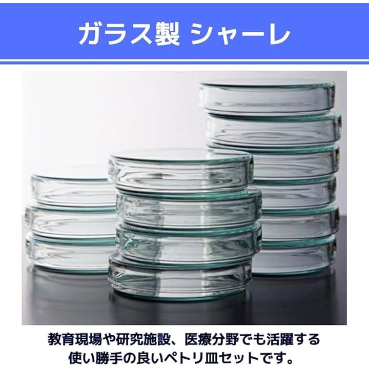 000007000000fffffff9ffc1ffd1fe05fdc9c201fc00f9c0c080c000ffffffffa3a3a3a30000c7a000abb39e009a97a2