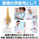 00004da00000ff0fee17ee99ecd3ec7ec7ffe6fdeedffffffdfdfffbe067827e