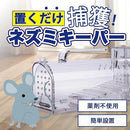 fffffebbc0b5e0e984779488a7af0f723bfbedff8dffe5fd45be41a5000000370000000012a2a1a21214b2b1168eb1b7