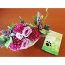 0010005008f03cf07f607ff07b20f73cfe33fe13a79ae79cf73e7e1e000e0000