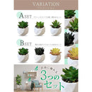 00000120fff8ff78cccceff8cee8fff9fff9cccceee8ffffbfb883f001f840d71010101000000000000000001a121222