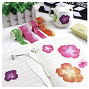 0010003801088004a00fc079c2fce3ffff67ffebdfffffffffcb9fcb9fe1ffff