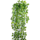 ffffff3ff00ff01ff82fe01ff05fe42fe06fe11ff03ff09ff07ff81ff01ff03f00002400003837000044500000423f00