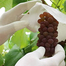 105c27e8fbfefdefffc7f3c3ffc1cec3c381610300006802706341e303ef47ff37463938d51c1f1217364b0e35473afc