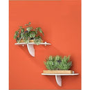 fffeff7cfffcfff8f0fcc43ef03fc33fecbff40f7a003cc81e101ffc0410001010121209090a090909040e09090a093e