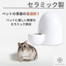 fffffe9af800faffffefd0cffecfffcfffcffefffffff8e3f87fe23fe03ffaff00000000000000a4000000a46b001200