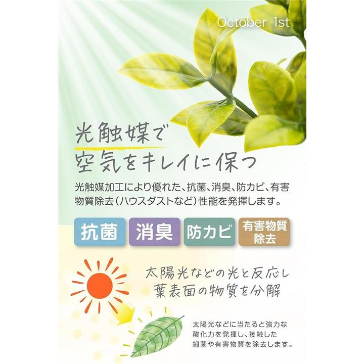 fe3cffc0ff8ff208ffe8ff00ffb8cfefdfb7fffff200ffffcffffffffc5bf9ff4753525355535a55534e4e472121211c