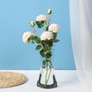 ffe7ffffffbfffe7fe47ff67f7c7c807000700070007000301c39e7fd67fde3f