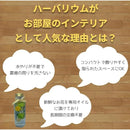 0000060800000000000023a0001e3c3f7e3f763f7e1e51c037e007f0028003e0171a171a161616151600160016170017