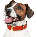 fffff9fff117e203e203e201c300e309e00be01fe077f0e7f20ffe1fffffffff0000000000090e2200fc070000050533