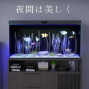 ffffffffffffffffc001c001c119c4694a6145095fff40007180400000000000a4a6a5a5a9b7a2b2aea8aba5ae00abeb