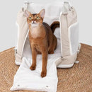 fffffffff3fff8fff85ffa3ff81ff81ff81e900c1d781d400d405f401fe05fc00000000000120412000f0f1013eb0f14