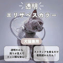 000001e003b00fbc3f6c079e3e0f3e0f2c1f703f7fff7bff3f7f3f353f453f7fafaea4a4ae00b7b2a5a909a7a5a0e2a0