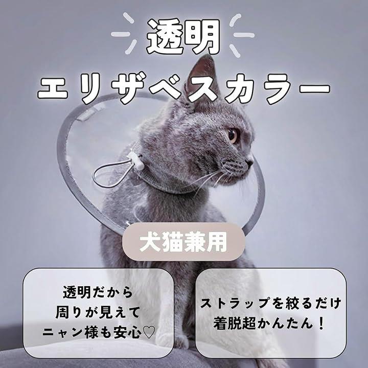 000001e003b00fbc3f6c079e3e0f3e0f2c1f703f7fff7bff3f7f3f353f453f7fafaea4a4ae00b7b2a5a909a7a5a0e2a0