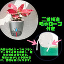 00003f007f807fc0efc0f3ccffe67fcc7f88333e013f007e001e7e9e00003900000000000e09150000fb22a300ab006f