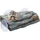 fffffffffffffffffffff983d8c1a800940080019007e43ff1ffffffffffffff00000000000000000017938000eb0000