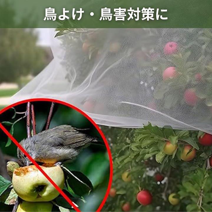 ff00316018003fff1fff0fff3fffffff83fe01ff0c00302440087800680041044646464631f2240936f7eb2b0b1c5535