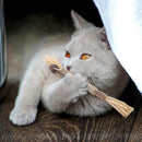 001f800f000f006f004f0fff1faf7fdb7c3d1f591ff03f88393638022000000889000095922520af993319007524171a