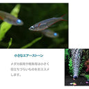 000710070007000740870007002700070007fff6f5f2fff0fff0fff0fff2fff0