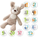 fffff9fcf98df80ff877f87cf4ffe0ffc075f06ec13f9df599eef9fec937e3f3