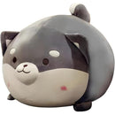 ffffffffffffffefff07fc07c003c001e081e001f601e001e003e003fc27ffff0000000000002b12000e2000001818bc