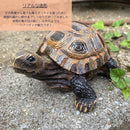 ffc0ff80f7ffffeafefffc75fcbee509c081e000f800f002f28f7fa8ffb711ea1010101f1a1e16121e12b3fb2032322b