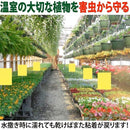 ffff924e20ec88c8008300e401a0c8b9ce6bd135c13c01be01ab01ab0122ffffd5006b00413700322b1f350641321a1f