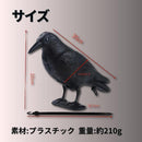 ffe0ffe0fbe0ffe0f9e0f0e0f820f800fc00fe00ff20fea0fe00f000ffe0ff00000004fc000004fc0000b3170000a2fc