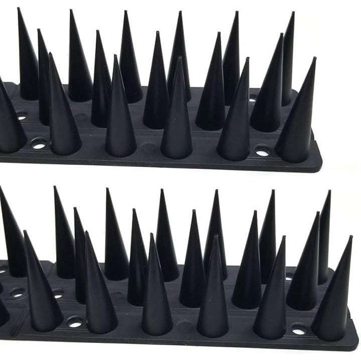 ffffbf7f9e5f98570003000300030001fffffff7e8e5a0a5000000000000fc0000000000ab9e9ea400000000a4a09e9e