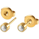 ffffffffffffc7ff81ff81ffc1e3e5e0fbe0c7808723871fdfbfffffffffffff00000000001d00000000001900003300