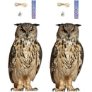 fffffdfbfdfbfffbfffff1e3f1c3f1d3e0c3e0a3e083e083e183e187e3c7e1c700000000000000000019001800180018