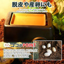 ffb3fc1fffacffddeff0eff03ff80000000000000000e7c9f850f7887f0800ff2b23150e1f261b120b101f1f1c191517