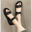 ffffff9ffe6ffe0fee2fd66fd24fc427ee67e661e1e1e1e0c8e1e171f279e17815181a18181a1218180e221a1812131a