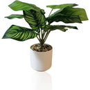 fffffffffffffffffbfff863f041fe3ff0afe17ffe3ffe3fff3fff3fffffffff00000000000000000054d50000001700