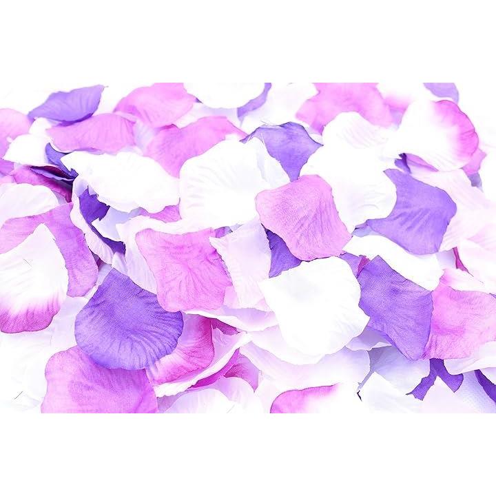 fff5c76f86fe459e1ffadfdbcfb98fd155b9e4b6f4f30171a0f0c0f0e075e5df0000d5d5cbd5b300d4bcc500c8bfbcbc