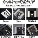 ffffc4fbffffffff8080b98ab9ae90c08000ffff8c0081608101810083e0ffff000000000090006b00abb26b00ebf704