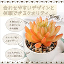 00007fff3bef7eff7ffa7ffb7e4b6e007e017e027e017e017f237fa76fff6eff00000000191f1e1800800e1200d51215