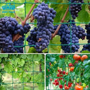 3f00ff80fd8079003e420a890441010a04040473dd83fca177ccf7a4ffe23ec56b394247b5049f5e9ba4a77946422e2f