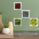 0fff0fff067f027f03ff01cf03cf01ff047a0a7b4e790c7f3c3f3c000cc2fc00444646484441004613443b42201c4040