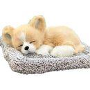 fffffffffffffffffefffc7f9c5f88070001048191bc9142e000c000f0ffffff0000000000000000251c161c00f2f210