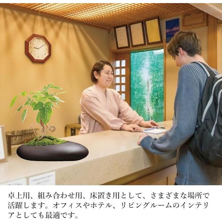 6fe18600fc00dc00dc36fee3ff588788edd8ba6883e0c1c0ffe0ff00add7ffff111917141a1a141a1a1a101a1b1a1a0e