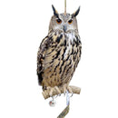 fffffffffe1ffe3ffe1ffc5ff81ff81ff81ff81ff83ff83ffc1ffdfffeffffff000000000000ab000000b30000001700