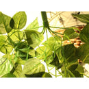 f77f3778176e077f076879b0e8d059ce43c021c0e7c0e380cf402fc1efc0dc602b2f311c242a31272f342d2b292c3232