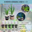 ffffffffadff9df182e183c1bdf6cd84f886e1b7ef0effffffffc1ffbbffad6f