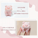 fe00ffe0fffae77ac3bec3ffe3fffffffffffe00fe00fe003e002e00260000ff1c1cfefe1c036b891c1c1c1cfe1c14fc