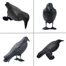 ffffdff7c7e3c1e3e0e3f1e3fdffffe3e000fdfff9f8f1f1e1e3c3c79bf3dfff0000470000f547ab5a5a5d5d009b47b3